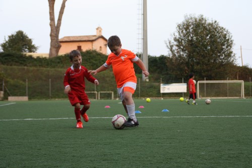 IMG_4853 Copia